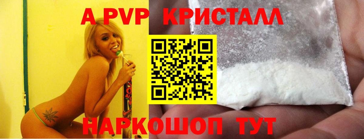 Alfa_PVP СК Майкоп