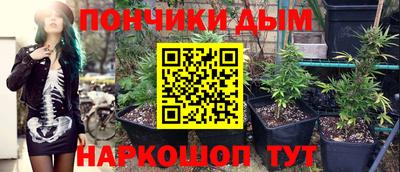 каннабис Сланцы