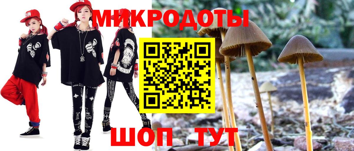 Майкоп  продажа наркотиков  Вход с VPN  Галлюциногенные грибы Psilocybe 