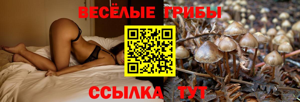 Галлюциногенные грибы ЛСД Майкоп
